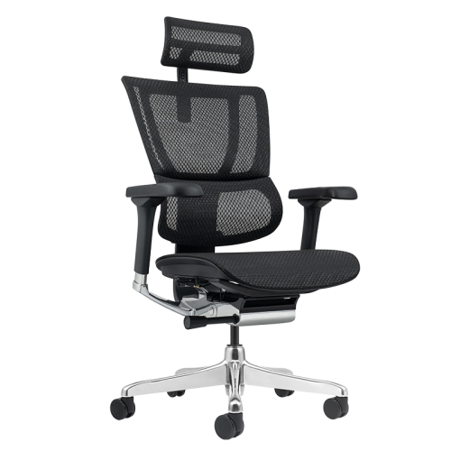 Ергономичен стол ERGOHUMAN ELITE 2 - черна рамка - черен