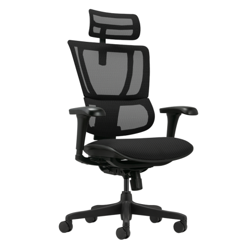 Ергономичен стол ERGOHUMAN IOO BUDGET 2 - черна рамка - черен