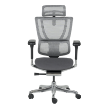 Ергономичен стол ERGOHUMAN IOO ELITE 2 - черна рамка - сив