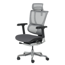 Ергономичен стол ERGOHUMAN IOO ELITE 2 - черна рамка - сив