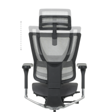 Ергономичен стол ERGOHUMAN IOO ELITE 2 - черна рамка - сив