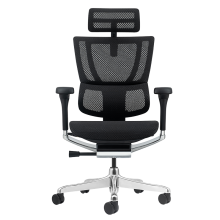 Ергономичен стол ERGOHUMAN ELITE 2 - черна рамка - черен