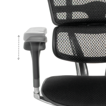 Ергономичен стол ERGOHUMAN ELITE 2 - черна рамка - черен Ергономичен стол ERGOHUMAN ELITE 2 - черна рамка - черен