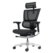 Ергономичен стол ERGOHUMAN ELITE 2 - черна рамка - черен