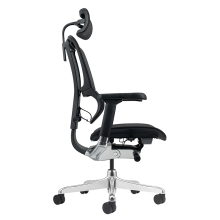 Ергономичен стол ERGOHUMAN ELITE 2 - черна рамка - черен