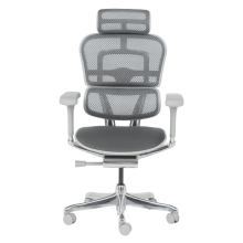 Ергономичен стол ERGOHUMAN ELITE 2 - сива рамка - сив