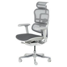 Ергономичен стол ERGOHUMAN ELITE 2 - сива рамка - сив