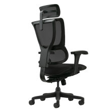 Ергономичен стол ERGOHUMAN IOO BUDGET 2 - черна рамка - черен