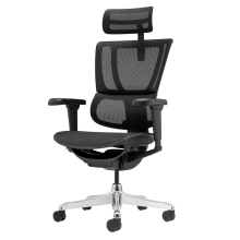 Ергономичен стол ERGOHUMAN IOO ULTRA - черна рамка - черен