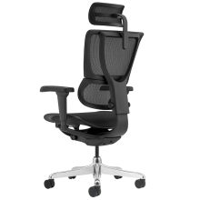 Ергономичен стол ERGOHUMAN IOO ULTRA - черна рамка - черен