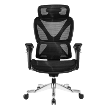 Ергономичен стол REIMS - черен